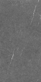Grande 60*120cm tuile de porcelaine de regard de ciment du style concret