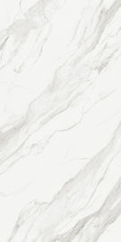 2020 tuile blanche de porcelaine de plancher de l'épaisseur 5.5mm de la couleur 1200x2400mm de nouvelle conception par prix en céramique de carreaux de céramique de mur