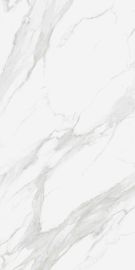 Grande tuile superbe de dalle de porcelaine de la taille 1200x2400mm pour le grand plancher de tuiles carré de mur et de plancher