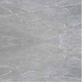 Plein carrelage de porcelaine de salon du regard 10mm 60*60cm de marbre de corps
