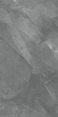 Tuiles d'intérieur de porcelaine de GMC 750x1500mm construisant la décoration