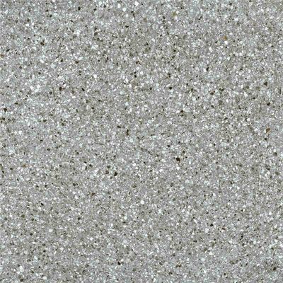 Dalles de partie supérieure du comptoir de cuisine de Tableau de Matte Terrazzo Floor Tiles Indoor