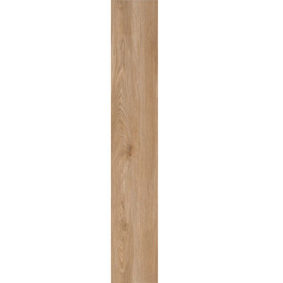 Tuiles d'intérieur en bois modernes faites sur commande de porcelaine pour le salon