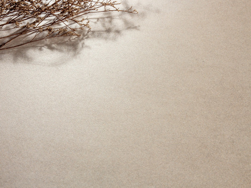 Grand carreau de céramique texturisé unique de Microcement Marmorino parquetant la couleur beige