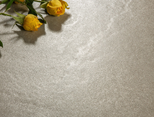 La porcelaine R10 d'intérieur vitrée sèche couvre de tuiles l'épaisseur de 10.7mm