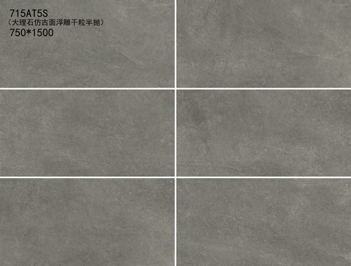 Taille foncée de Grey Color 750*1500mm de tuiles d'intérieur résistant à l'acide de porcelaine pour la salle de bains